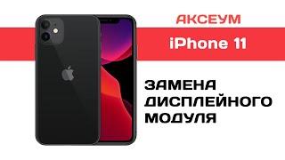 Замена экрана на iPhone 11