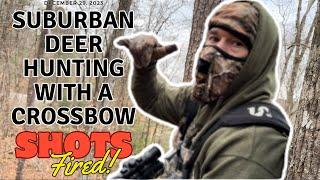 Suburban Deer Hunting in Birmingham, AL with a Crossbow / SHOTS FIRED!