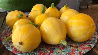 What’s our plan for the FALL GARDEN? The lemon squash had to go.