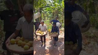 Ball in Hole Competition #familygames #funny #games #funnychallenge #gamenight #fyp