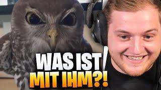 REAKTION auf die WITZIGSTEN CLIPS!  | Trymacs Stream Highlights