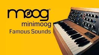 Moog Minimoog - Famous Sounds