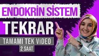 2) Endokrin Sistem FULL TEKRAR | 11. Sınıf Biyoloji | AYT Biyoloji Konu Anlatımı 2