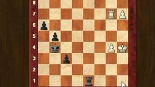 Letsplaychess.com presents Michaud vs Schakel (part  2)