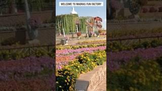 Dubai Miracle Garden | The world’s largest natural flower garden