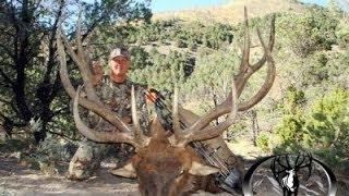 GIANT 422" Archery Bull Elk Hunt (Free Range) - MossBack