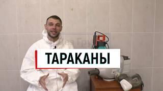 Тараканы в квартире или доме  Как ИЗБАВИТЬСЯ от тараканов?  Лучшее средство от тараканов