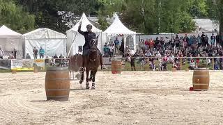 Working Equitation - Speedtrail - Mihai Maldea - Pferd International München 2022