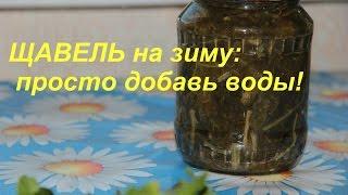 ЩАВЕЛЬ на зиму: просто добавь воды!