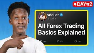 BOOT DAY 2: FOREX TRADING BASICS FOR COMPLETE BEGINNERS