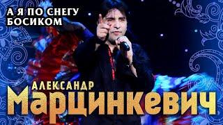 Александр Марцинкевич и группа КАБРИОЛЕТ - А я по снегу босиком (концерт в БКЗ «Октябрьский», 2015)