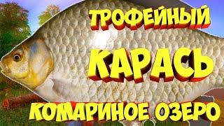 русская рыбалка 4 - Карась озеро Комариное - рр4 фарм Алексей Майоров