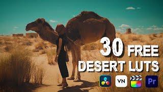 Free DESERT Luts | How To Use Luts In Adobe Premiere Pro