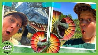 Park Ranger Aaron Vs. Park Ranger LB Dinosaur Hide and Seek! | T-Rex Ranch Dinosaur Videos for Kids