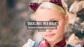 Ducklings on a Walk - Music from Audiojungle