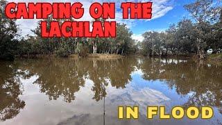 LACHLAN RIVER CAMPING - RIVER IN FLOOD #camping #fishing #river