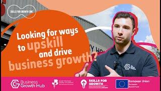Skills for Growth - SME Support Thomas Kneale and Co Ltd Case Study