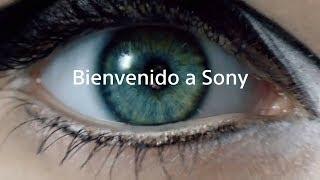 Sony América Latina: tecnología del mañana ¡hoy!