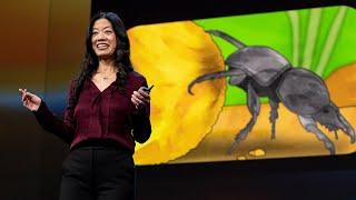 Are Insect Brains the Secret to Great AI? | Frances S. Chance | TED