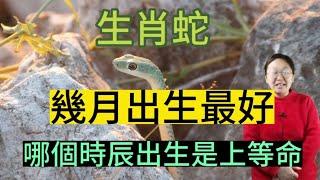 【生肖蛇】生肖屬蛇人的生辰八字！那生肖蛇幾月出生命最好呢？什麼時辰出生是上等命？本期視頻解讀生肖屬蛇人一生命運！#生肖 #屬相運勢 #生肖運勢 #生肖蛇