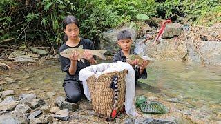 Yên and Thu catch stream fish to sell in the village, build a new kitchen - Homeless Boy