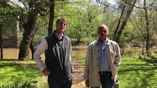 Freehling Finds  The Old Stone Warehouse in Fredericksburg, VA