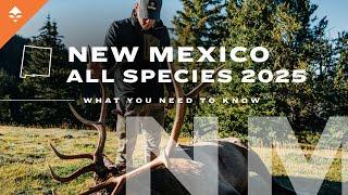 Hunting Big Game in New Mexico Explained!