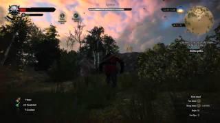 The Witcher 3 Game Guide - Fight with Opinicus