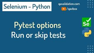 All about Pytest options | run or skip tests