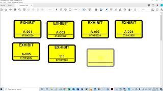 Local Settings For the PDFAutomationStation Lawyer's Exhibit Stamp