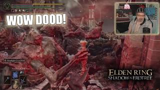 DSP Is Having a Hard Time Getting Wrecked by Weak Foes in New Elden Ring Shadow of the Erdtree DLC