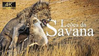 Leões da Savana: Planeta Selvagem dos Reis Africanos | Documentário de Animais em 4K