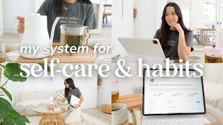 How to Create Healthy Habits & Prioritize Self-Care | Notion Tour