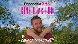 What's the deal with Cine D vs Log on the panasonic GH5? Prepare your Pixel Peepers