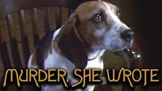 That Time Murder, She Wrote's Murderer Was a Dog