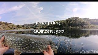 Pike Tour Switzerland - iCatchFish #Züri #Fishing #Movie