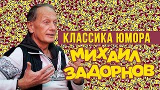 Михаил Задорнов: знаменитый писатель- сатирик, автор сценарий, актёр, ведущий #звезда