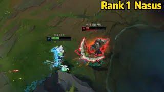 Rank 1 Nasus: The Only Challenger Nasus in KR Server be Like...