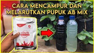 Cara Mencampur dan Melarutkan Nutrisi AB Mix | Cara Menggunakan Pupuk AB Mix