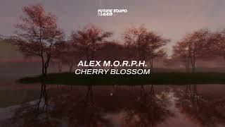 Alex M.O.R.P.H. - Cherry Blossom