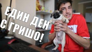 ЕДИН ДЕН С ГРИШО! MySparx Предизвикателство!