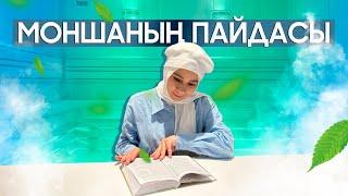 Моншаның пайдасы, моншаға кімдерге баруға болмайды?