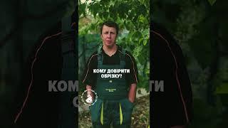 Кому довірити обрізку?  #садовник #gardenrabbit #садовыйкролик #садовийкролик