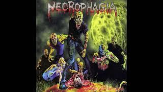  Necrophagia - Season of the Dead (1987) [Full Album] 