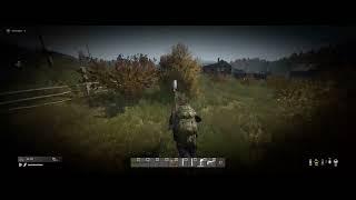 Неждан в DayZ #dayz #shorts #dayzstandalone #seadayz