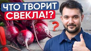 В чем ГЛАВНАЯ ПОЛЬЗА СВЕКЛЫ? Очищение организма, печени, большое количество витаминов и клетчатки