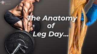 Ultimate Leg Day Workout You Can’t Miss