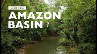 What is the Amazon Basin?