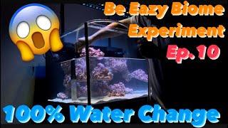 Ep.10 | 100% Water change - Be Eazy Biome experiment