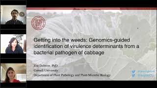 Revealing Mechanisms of Bacterial Virulence and Adaptation with PacBio SMRT Sequencing